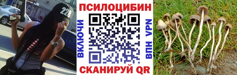 Галлюциногенные грибы MAGIC MUSHROOMS  Александров 